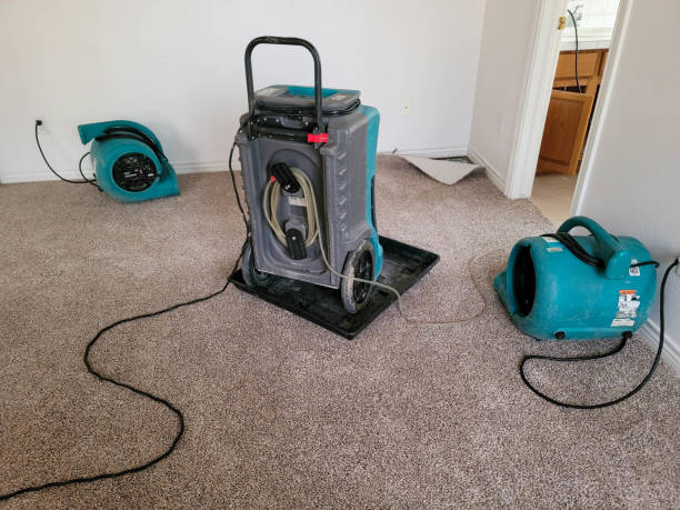 Best Sewage cleanup and water damage restoration  in Jarrettsville, MD