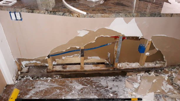Best Ceiling water damage repair  in Jarrettsville, MD