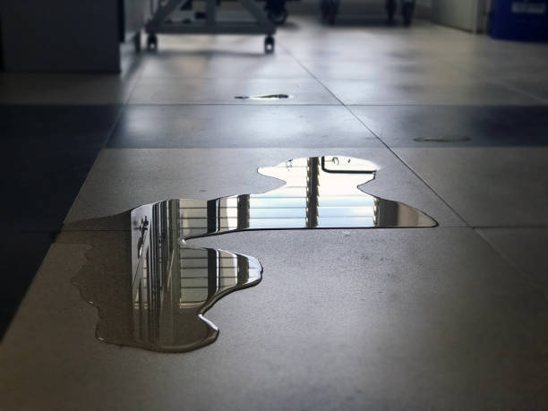 Best Water damage restoration company  in Jarrettsville, MD