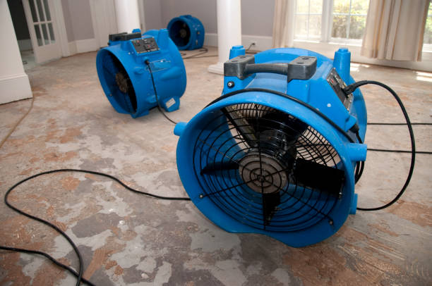 Best Water damage contractors near me  in Jarrettsville, MD