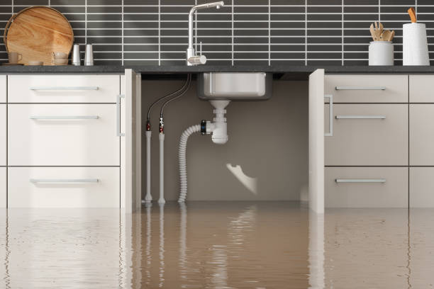 Best Water damage restoration cost  in Jarrettsville, MD