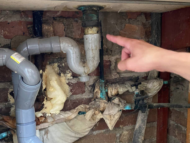 Best Water damage restoration near me  in Jarrettsville, MD